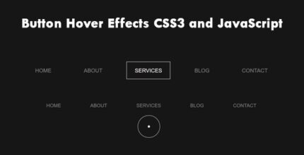 Button Hover Effects CSS3 and JavaScript