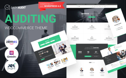 EasyAudit Auditing WordPress Theme