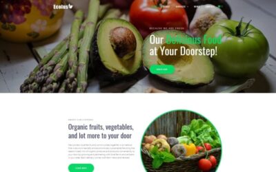 Ecolus - Organic Food Delivery ECommerce Modern Elementor WordPress Theme