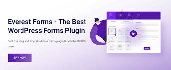 Everest Forms - Razorpay
