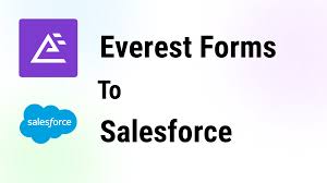 Everest Forms - Salesforce