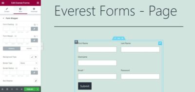 Everest Forms - Style Customizer