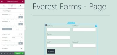 Everest Forms – Style Customizer