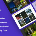 Hohor - Portfolio & Gallery