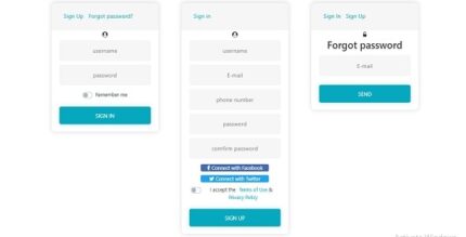 Login Form