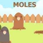 Moles Construct 3 HTML5 Game