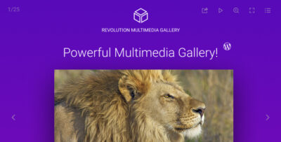 Revolution Multimedia Gallery Wordpress Plugin