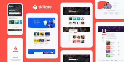 Skillate Theme