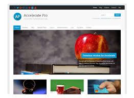 ThemeGrill - Accelerate Pro