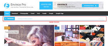 ThemeGrill - Envince Pro