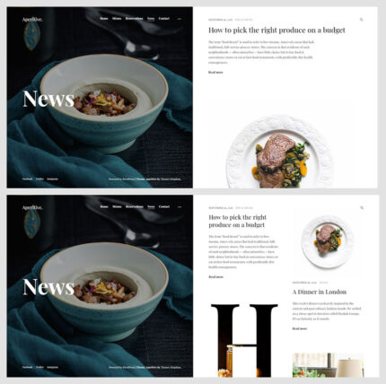 Themes Kingdom Aperitive WordPress Theme