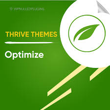 Thrive Themes Optimize Plugin