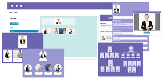 WP Team Display - The Organization Chart WordPress Plugin
