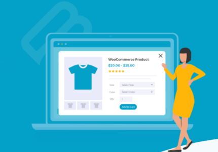 WooCommerce Quick View Pro – (By Barn Media)