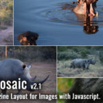 isoMosaic Photo Wall Layout Generator