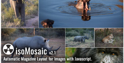 isoMosaic Photo Wall Layout Generator