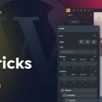 Bricks Theme (with built In Builder)