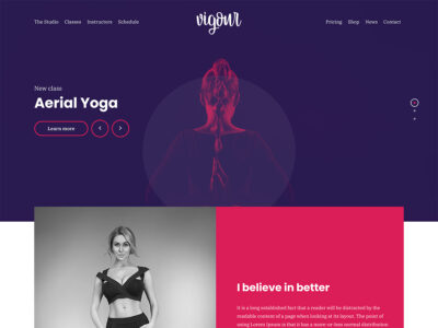 CSS Igniter Vigour Theme