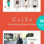 Coleo A Stylish Fashion Clothing Store WordPress Theme