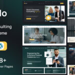 Saylo - Business Consulting WordPress Theme