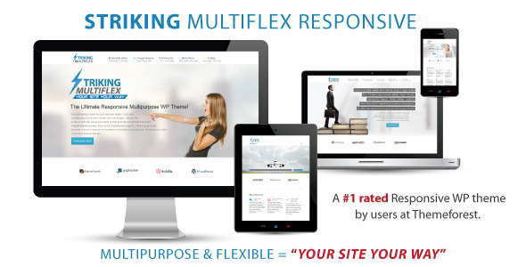 Striking - Themeforest MultiFlex & Ecommerce Theme v2.4.2 Striking - Themeforest MultiFlex & Ecommerce Theme v2.4.2