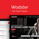 WP Zone – Wodster Theme