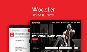 WP Zone – Wodster Theme