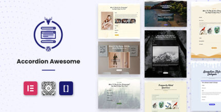 WordPress Accordion Plugin - Accordion Awesome Pro