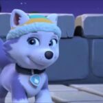 Everest Gallery  v1.0.7