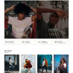 CSSIgniter Amaryllis WordPress Theme v3.1