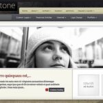 Elegant Themes ColdStone WordPress Theme v6.7.13