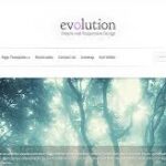 Elegant Themes Evolution WordPress Theme  v3.0.14