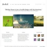 Elegant Themes Modest WordPress Theme v3.9.13