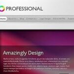 Elegant Themes TheProfessional WordPress Theme v4.0.13