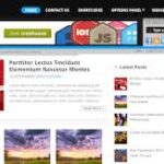 MyThemeShop Fortune WordPress Theme v1.0.10