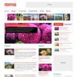 MyThemeShop FrontPage WordPress Theme v1.2.6
