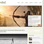 MyThemeShop Instinct WordPress Theme v1.0.8