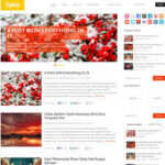 MyThemeShop Spike WordPress Theme v2.2.3