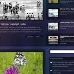 OboxThemes Depth WordPress Theme  v1.2.5