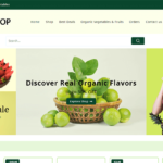 Organic Shop – Responsive WooCommerce Theme  v2.7.5