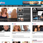 Theme Junkie FashionPro WordPress Theme v2