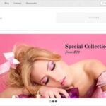 Themify Minshop WooCommerce Themes v7.5.4