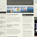 WooThemes Thick Premium Theme  v2.2.2