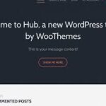Woothemes Hub WooCommerce Themes v1.2.20