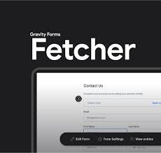 Jetsloth - Gravity Forms Fetcher