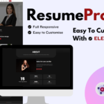 ResumePro Minimalist Portfolio- Wordpress Theme