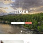 Timex Website Template