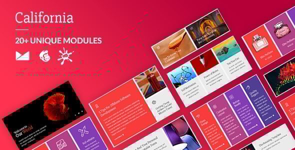 California Email-Template + Online Builder California Email-Template + Online Builder