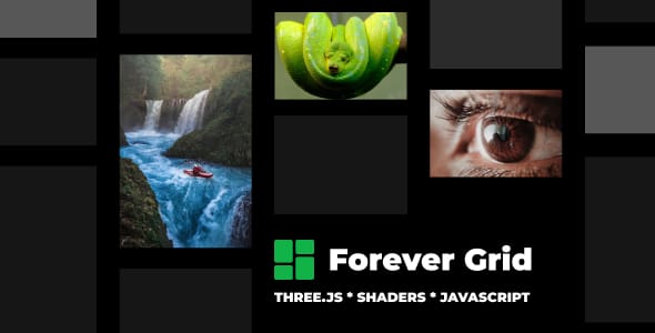 Forever Grid Forever Grid