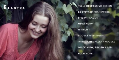 Elantra Kitchen Store Shopify Theme & Template